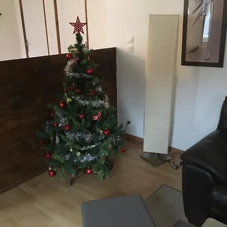 Appartement Le 1 - Le Château Du Fleckenstein