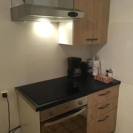 Le 1 - Le Chateau Du Fleckenstein Apartment *